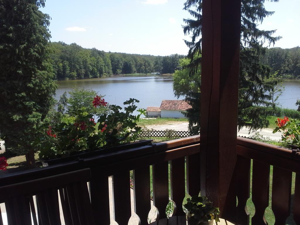 Ágneslaki Ökoturisztikai Centrum és Vadászház Nagykanizsa Habitación foto